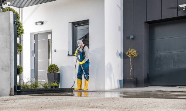 Best Residential Pressure Washing in Colchester, IL